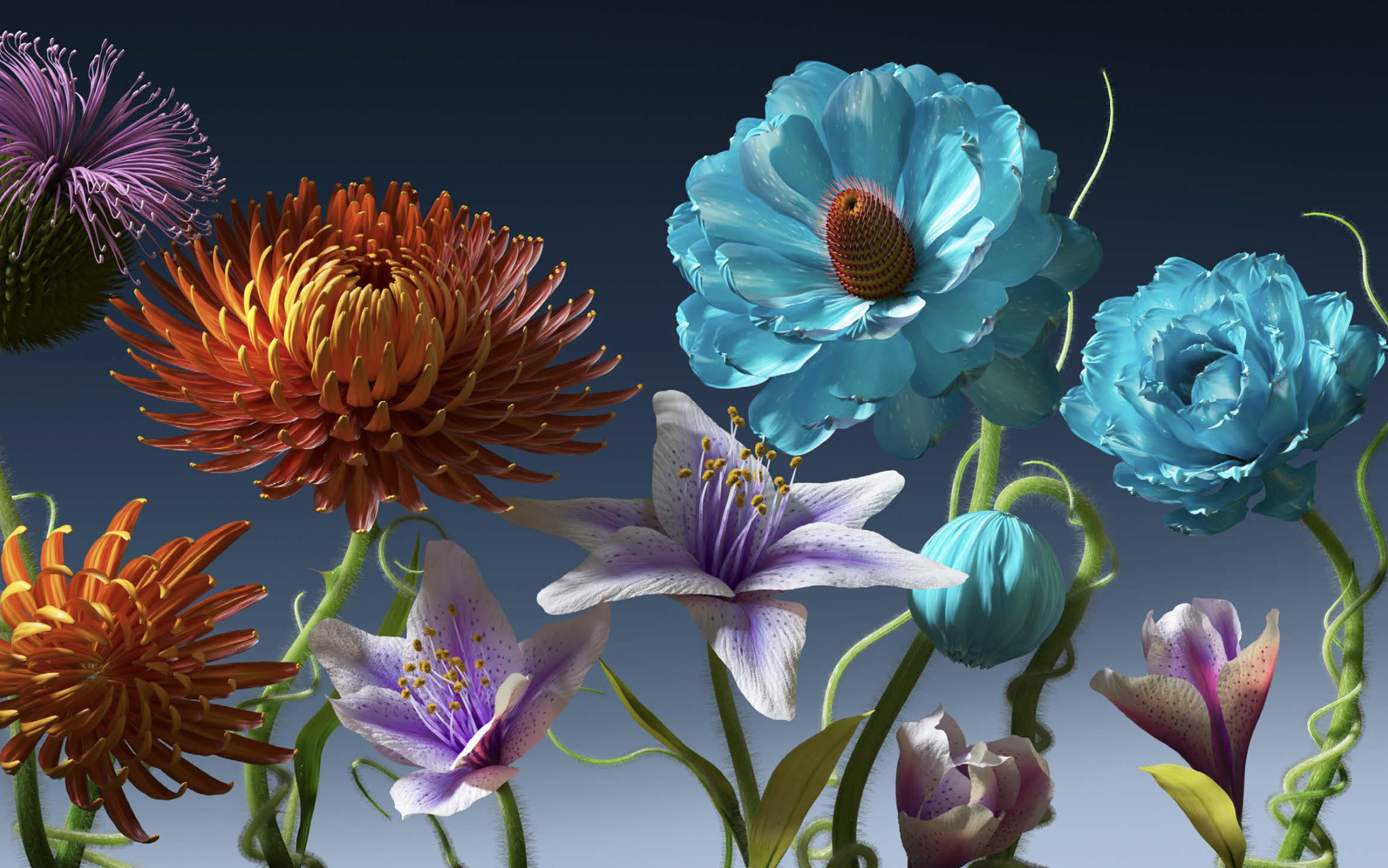Iceland Symphony Orchestra cover photo